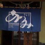 фото Японские шторы от 16.08.2017 №021 - Japanese Curtains 123123123232