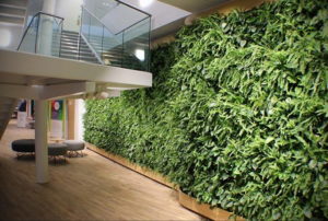 зеленая стена в интерьере 06.10.2019 №002 -green in the interior- design-foto.ru