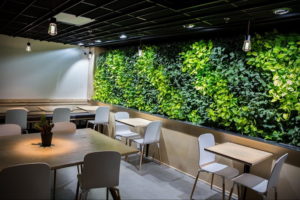 зеленая стена в интерьере 06.10.2019 №004 -green in the interior- design-foto.ru