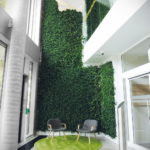 зеленая стена в интерьере 06.10.2019 №005 -green in the interior- design-foto.ru