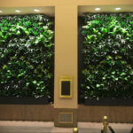 зеленая стена в интерьере 06.10.2019 №009 -green in the interior- design-foto.ru