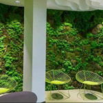 зеленая стена в интерьере 06.10.2019 №011 -green in the interior- design-foto.ru