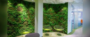 зеленая стена в интерьере 06.10.2019 №011 -green in the interior- design-foto.ru