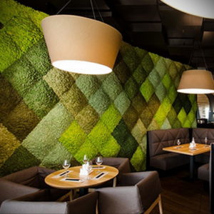 зеленая стена в интерьере 06.10.2019 №019 -green in the interior- design-foto.ru