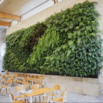 зеленая стена в интерьере 06.10.2019 №020 -green in the interior- design-foto.ru