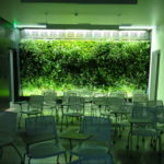зеленая стена в интерьере 06.10.2019 №025 -green in the interior- design-foto.ru