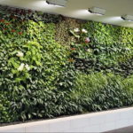 зеленая стена в интерьере 06.10.2019 №027 -green in the interior- design-foto.ru