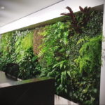 зеленая стена в интерьере 06.10.2019 №029 -green in the interior- design-foto.ru