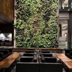 зеленая стена в интерьере 06.10.2019 №030 -green in the interior- design-foto.ru