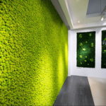 зеленая стена в интерьере 06.10.2019 №031 -green in the interior- design-foto.ru
