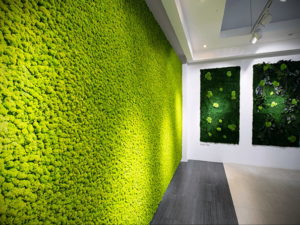 зеленая стена в интерьере 06.10.2019 №031 -green in the interior- design-foto.ru