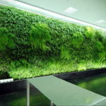 зеленая стена в интерьере 06.10.2019 №041 -green in the interior- design-foto.ru