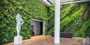 зеленая стена в интерьере 06.10.2019 №042 -green in the interior- design-foto.ru