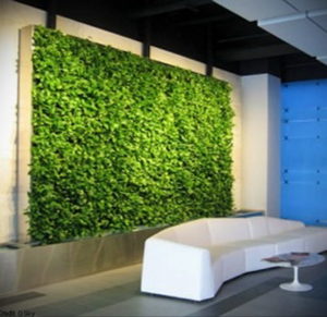 зеленая стена в интерьере 06.10.2019 №043 -green in the interior- design-foto.ru