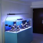 фото Аквариум в интерьере 28.11.2018 №057 - photo Aquarium in the interior - design-foto.ru