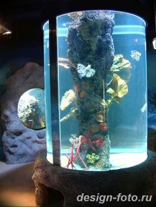 фото Аквариум в интерьере 28.11.2018 №065 - photo Aquarium in the interior - design-foto.ru