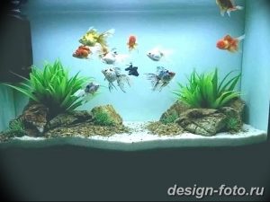 фото Аквариум в интерьере 28.11.2018 №073 - photo Aquarium in the interior - design-foto.ru