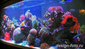 фото Аквариум в интерьере 28.11.2018 №086 - photo Aquarium in the interior - design-foto.ru