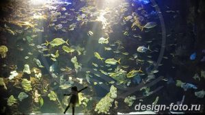 фото Аквариум в интерьере 28.11.2018 №108 - photo Aquarium in the interior - design-foto.ru