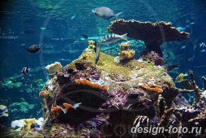 фото Аквариум в интерьере 28.11.2018 №109 - photo Aquarium in the interior - design-foto.ru