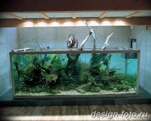 фото Аквариум в интерьере 28.11.2018 №133 - photo Aquarium in the interior - design-foto.ru