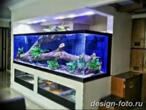 фото Аквариум в интерьере 28.11.2018 №143 - photo Aquarium in the interior - design-foto.ru