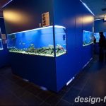 фото Аквариум в интерьере 28.11.2018 №146 - photo Aquarium in the interior - design-foto.ru