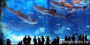 фото Аквариум в интерьере 28.11.2018 №155 - photo Aquarium in the interior - design-foto.ru