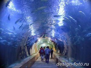 фото Аквариум в интерьере 28.11.2018 №158 - photo Aquarium in the interior - design-foto.ru