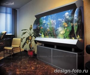 фото Аквариум в интерьере 28.11.2018 №171 - photo Aquarium in the interior - design-foto.ru
