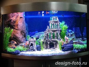 фото Аквариум в интерьере 28.11.2018 №176 - photo Aquarium in the interior - design-foto.ru