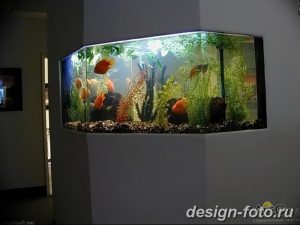 фото Аквариум в интерьере 28.11.2018 №186 - photo Aquarium in the interior - design-foto.ru