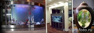 фото Аквариум в интерьере 28.11.2018 №210 - photo Aquarium in the interior - design-foto.ru