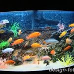 фото Аквариум в интерьере 28.11.2018 №220 - photo Aquarium in the interior - design-foto.ru