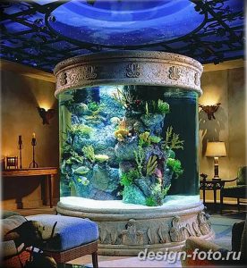 фото Аквариум в интерьере 28.11.2018 №258 - photo Aquarium in the interior - design-foto.ru