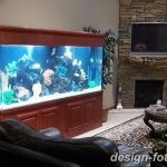 фото Аквариум в интерьере 28.11.2018 №280 - photo Aquarium in the interior - design-foto.ru