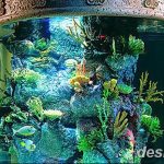 фото Аквариум в интерьере 28.11.2018 №292 - photo Aquarium in the interior - design-foto.ru
