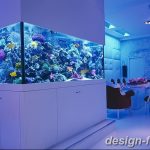 фото Аквариум в интерьере 28.11.2018 №296 - photo Aquarium in the interior - design-foto.ru