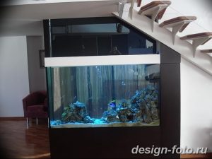 фото Аквариум в интерьере 28.11.2018 №305 - photo Aquarium in the interior - design-foto.ru