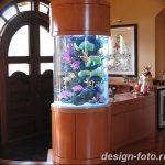 фото Аквариум в интерьере 28.11.2018 №309 - photo Aquarium in the interior - design-foto.ru