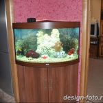 фото Аквариум в интерьере 28.11.2018 №337 - photo Aquarium in the interior - design-foto.ru