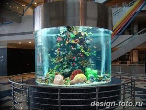фото Аквариум в интерьере 28.11.2018 №342 - photo Aquarium in the interior - design-foto.ru