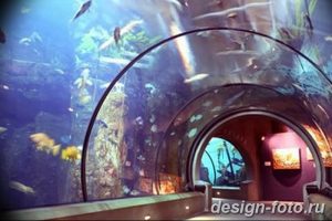 фото Аквариум в интерьере 28.11.2018 №358 - photo Aquarium in the interior - design-foto.ru