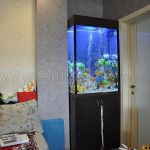 фото Аквариум в интерьере 28.11.2018 №374 - photo Aquarium in the interior - design-foto.ru