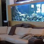 фото Аквариум в интерьере 28.11.2018 №397 - photo Aquarium in the interior - design-foto.ru