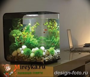 фото Аквариум в интерьере 28.11.2018 №427 - photo Aquarium in the interior - design-foto.ru