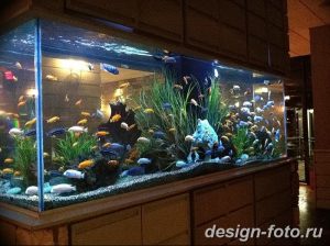 фото Аквариум в интерьере 28.11.2018 №438 - photo Aquarium in the interior - design-foto.ru