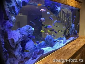 фото Аквариум в интерьере 28.11.2018 №452 - photo Aquarium in the interior - design-foto.ru
