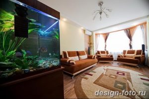aquarium in a room