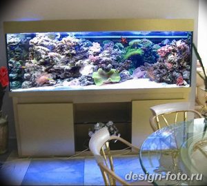 фото Аквариум в интерьере 28.11.2018 №507 - photo Aquarium in the interior - design-foto.ru